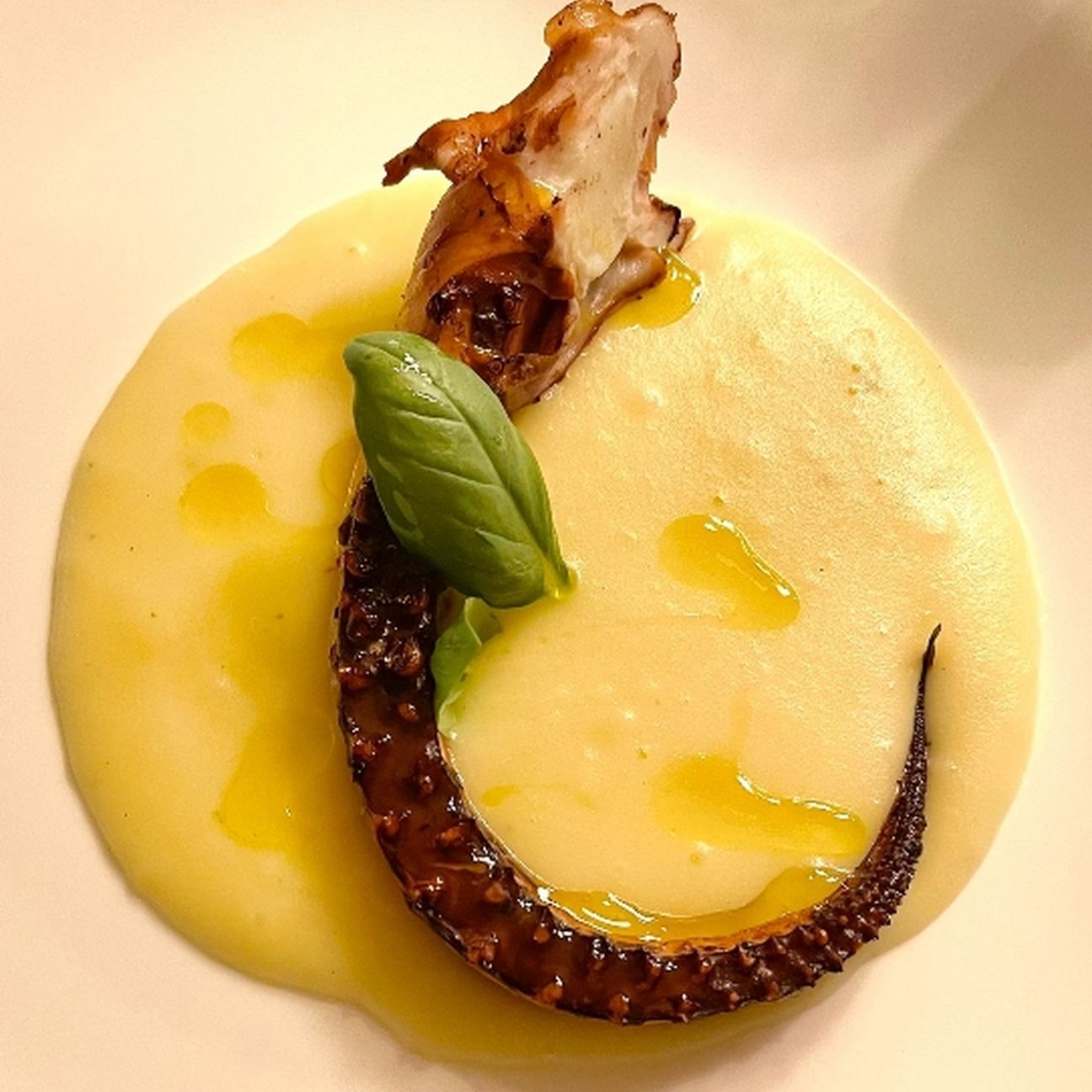 Il tentacolo scottato🐙