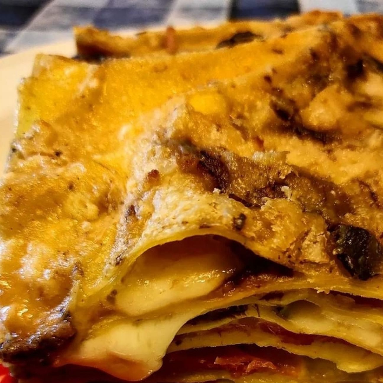 Lasagna bianca con besciamella, funghi porcini, cotto e Asiago Dop