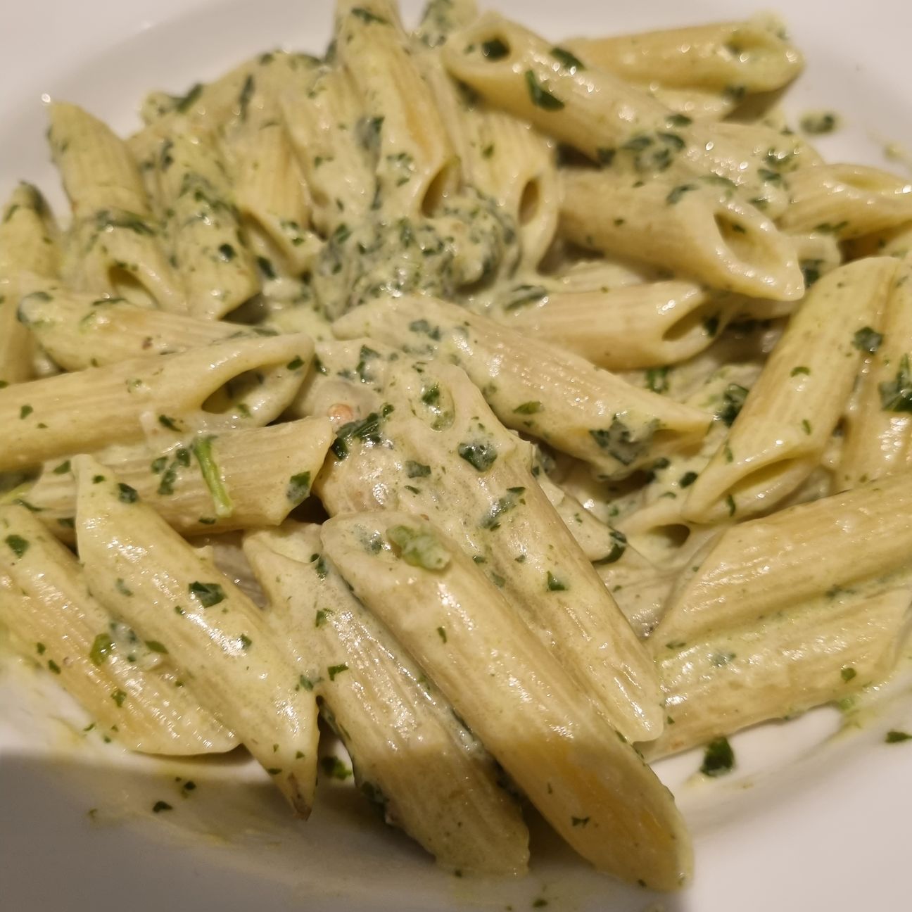 Pennette pesto di basilico noci e philadelphia