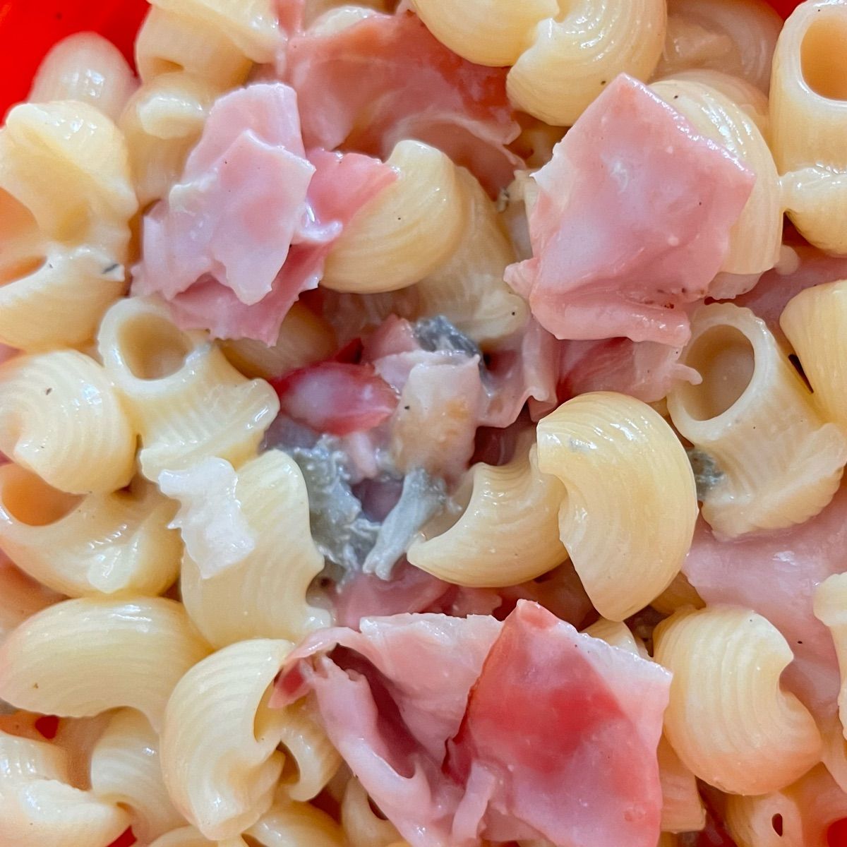 Pasta alla crema di gorgonzola e speck