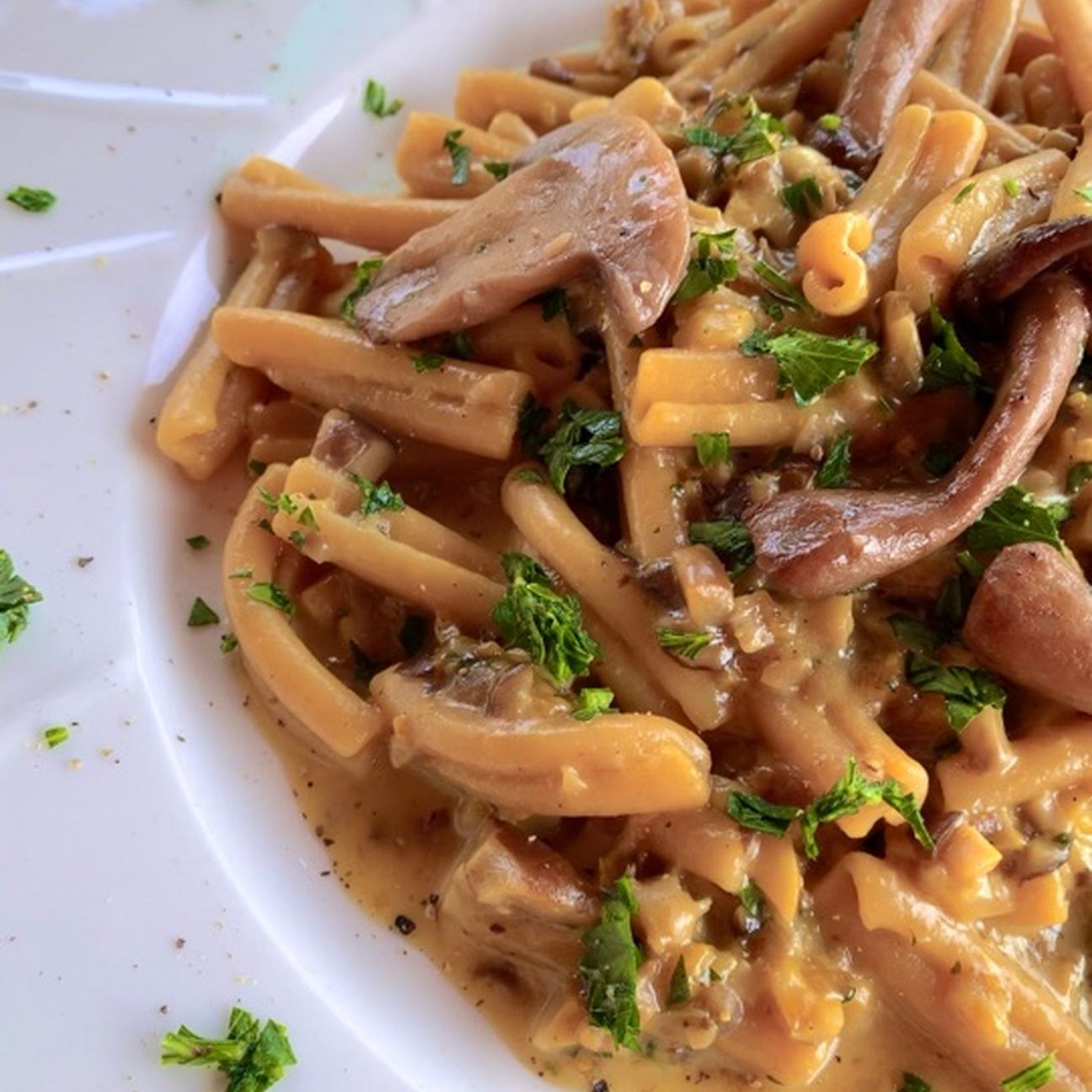 CASARECCE CON CREMA DI ZAFFERANO E PORCINI