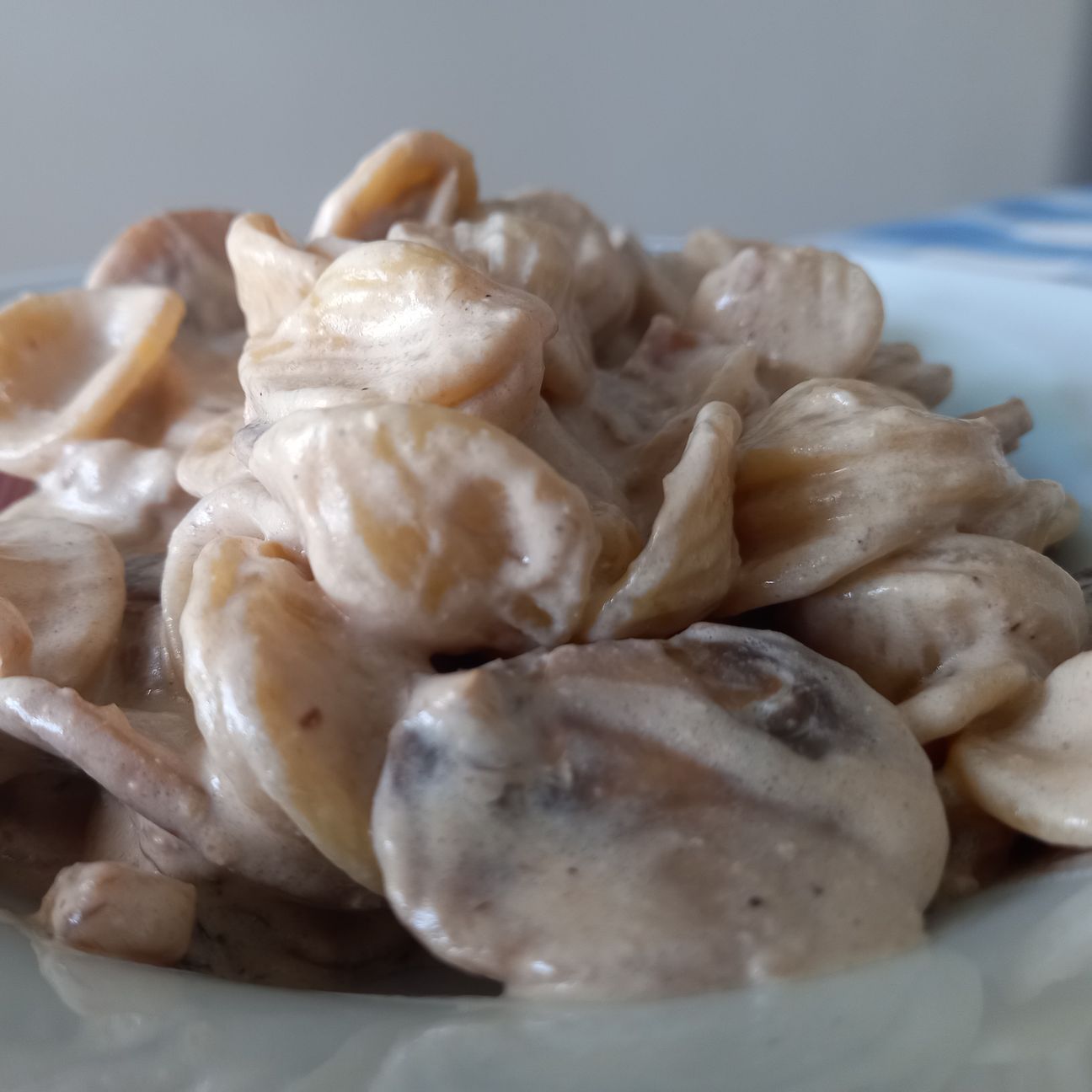 Orecchiette ai funghi