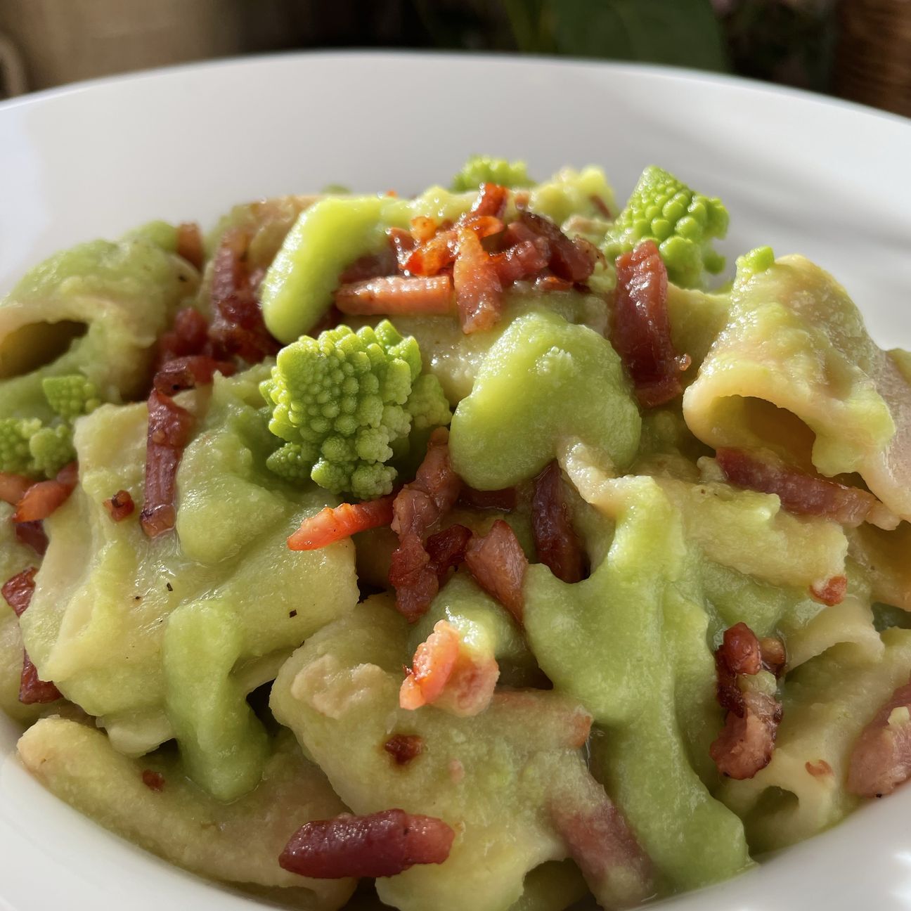 Pasta con crema di broccolo romanesco e speck