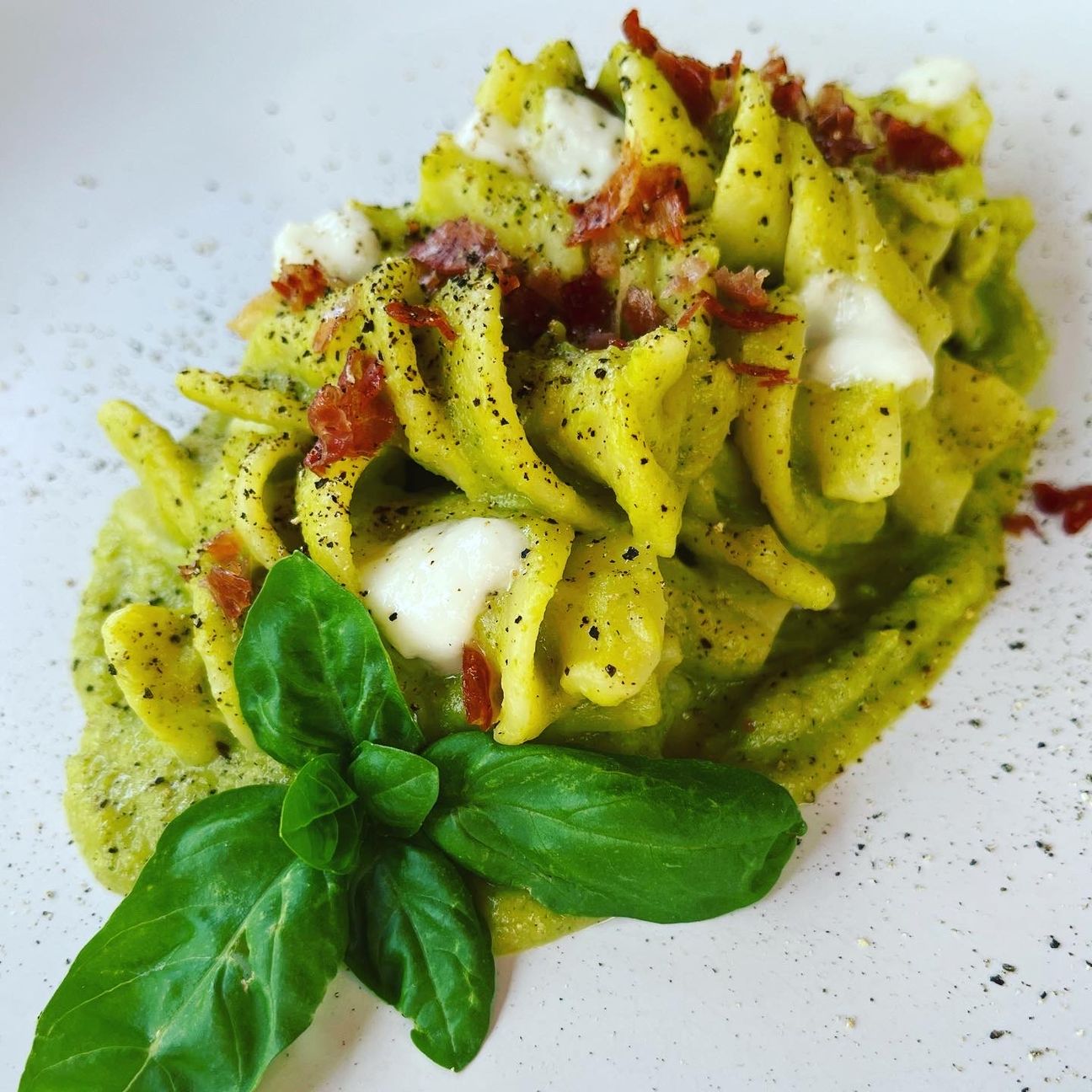 Fusilloni con crema di zucchine, speck croccante e pecorino