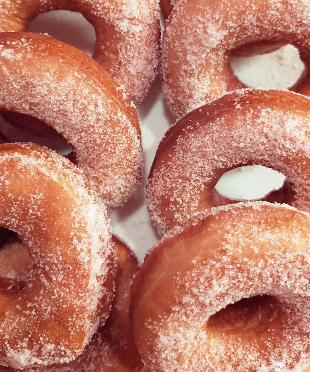 Ciambelle soffici fritte