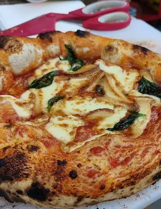 Ricetta Pizza Margherita con provola affumicata di lingegneredellapizza