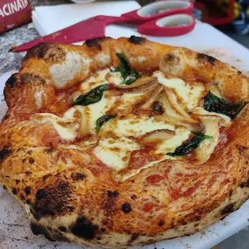 Ricetta Pizza Margherita con provola affumicata di lingegneredellapizza
