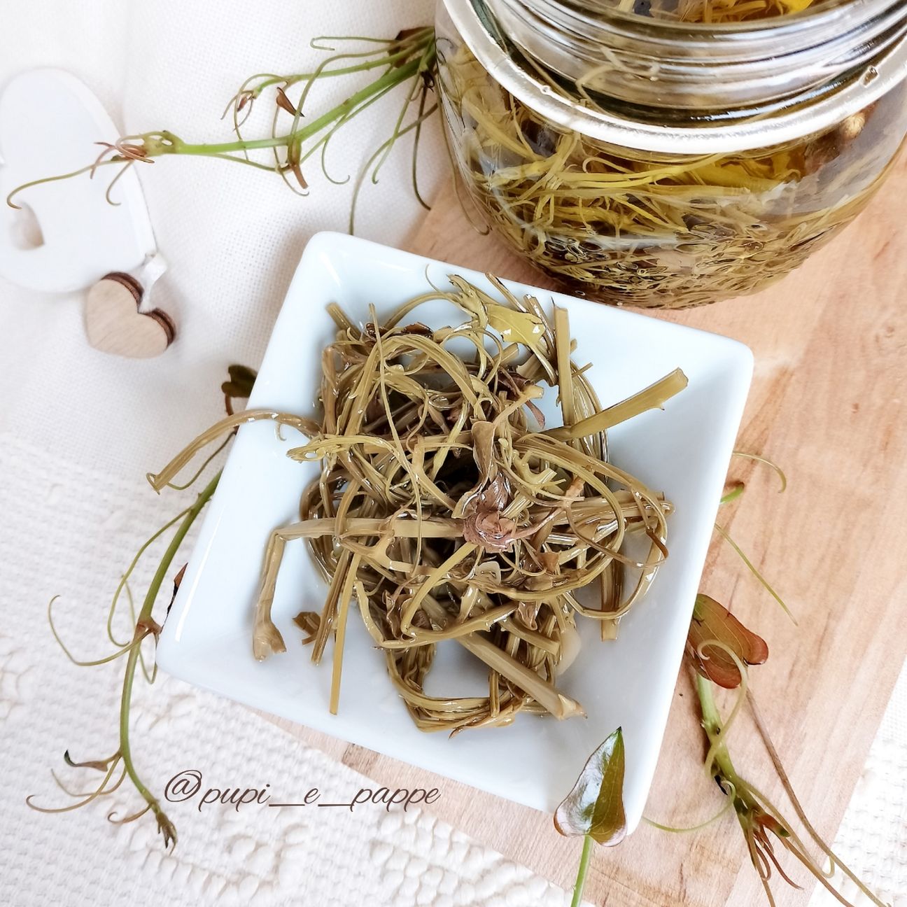 Salsapariglia sott'olio. Smilax aspera