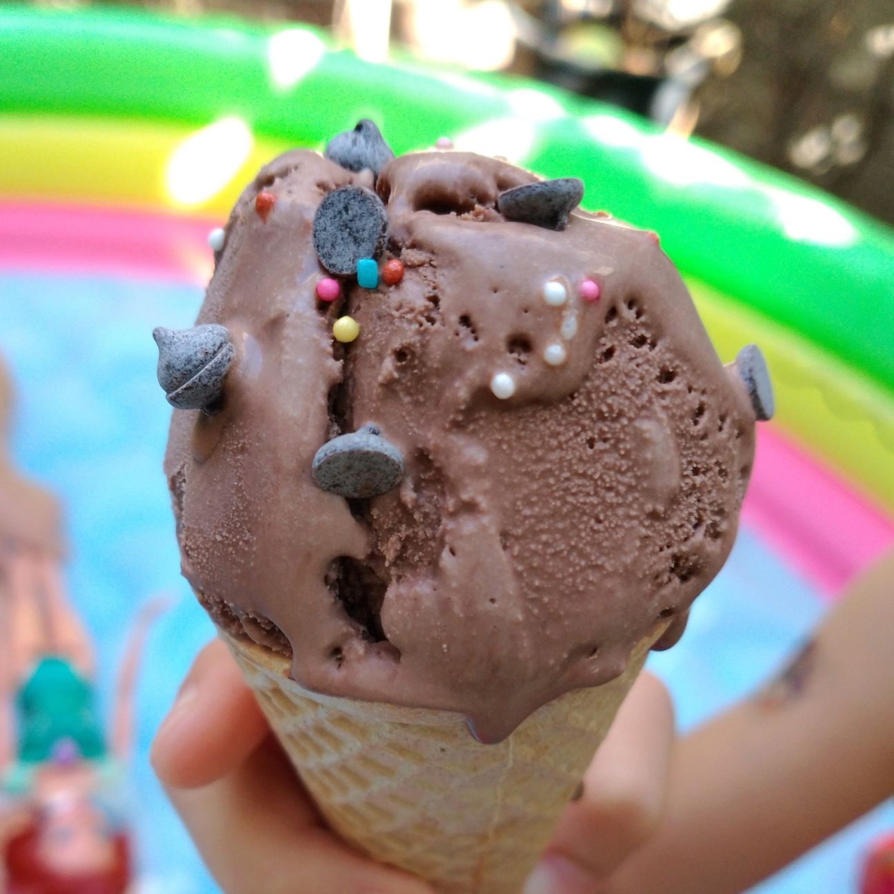 Gelato al cacao e fondente