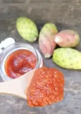 Ricetta PASSATA DI BUCCE DI FICHIDINDIA