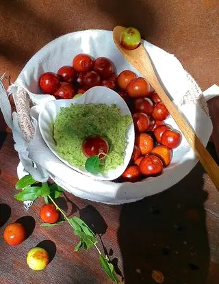 Ricetta Pesto di Giuggiole e Foglie di Ravanello di pupiepappe