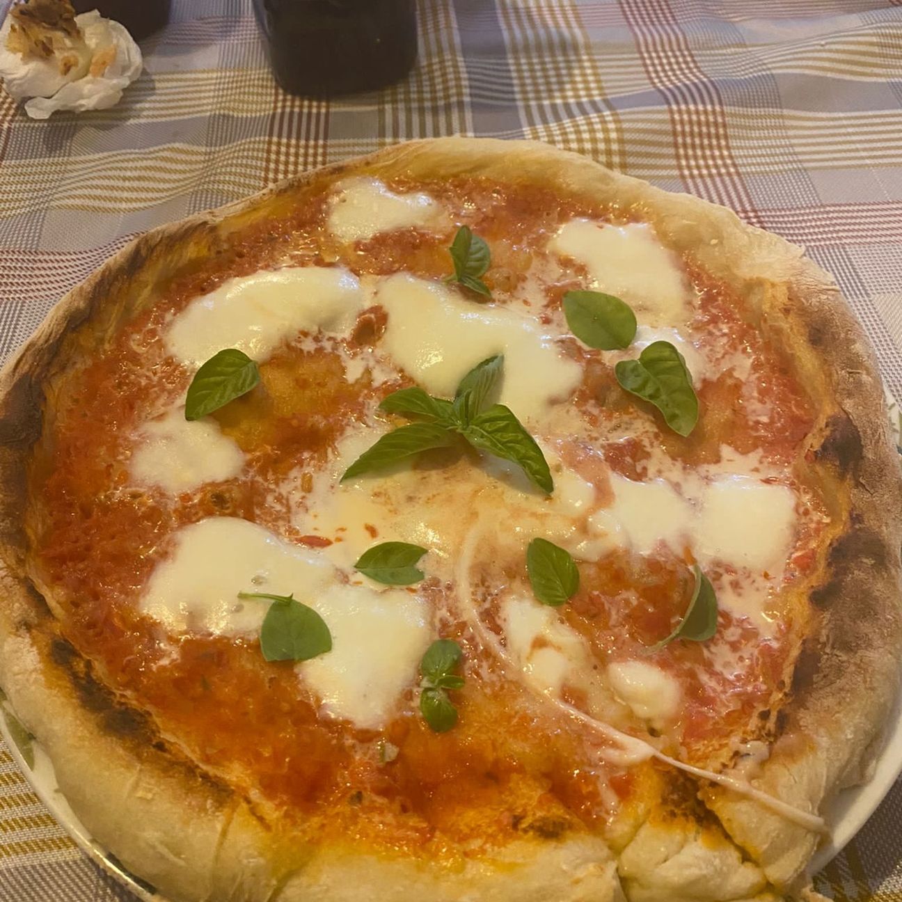 Pizza Margherita