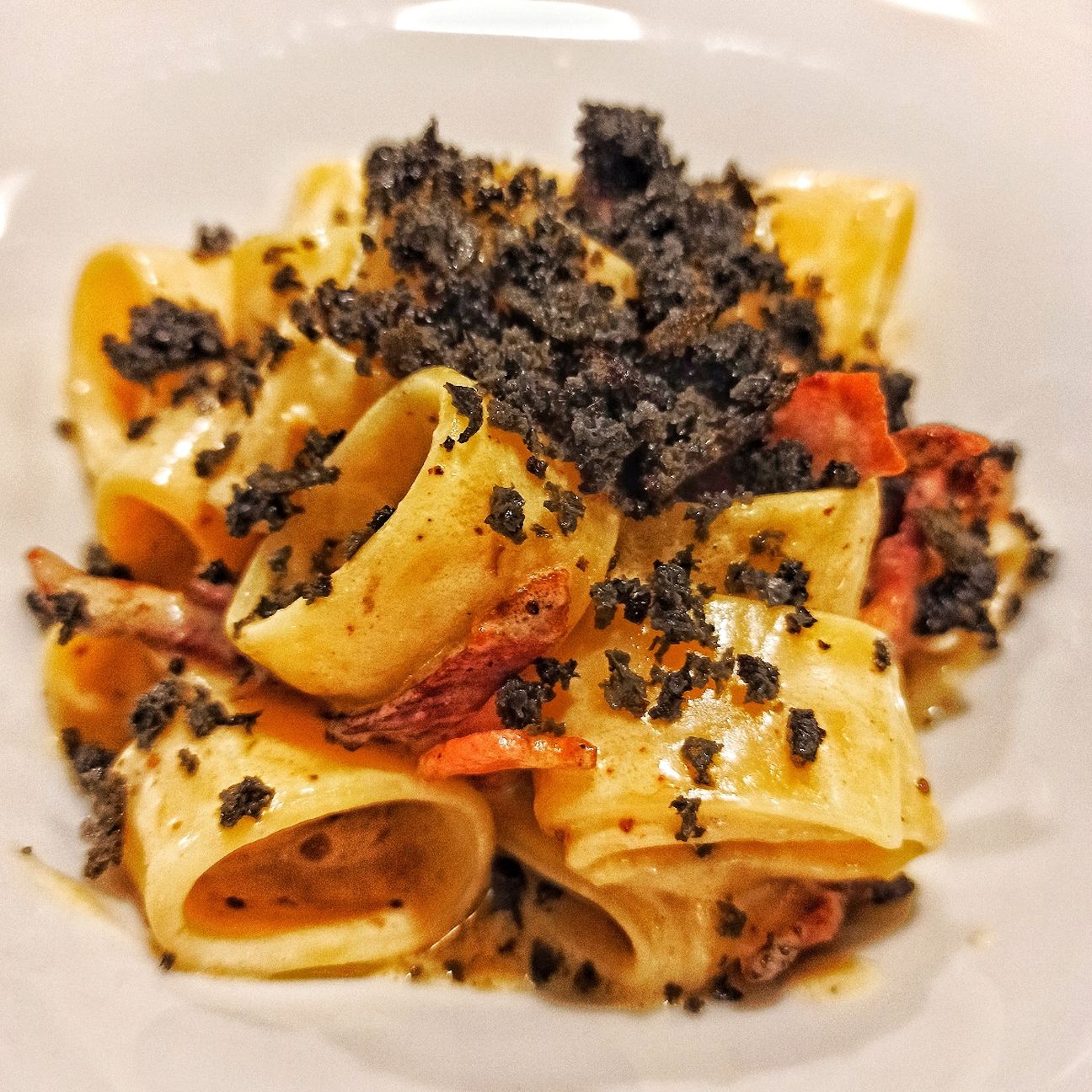 Calamarata taleggio speck croccante di focaccia