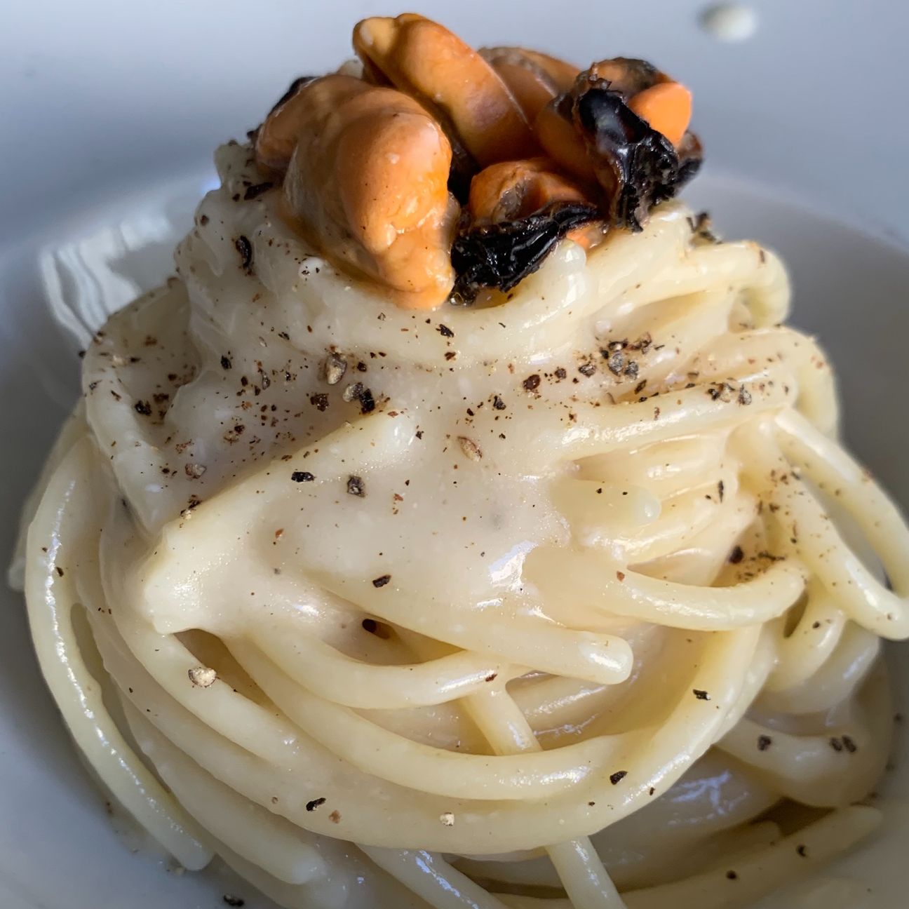 Spaghettoni Cacio e Cozze