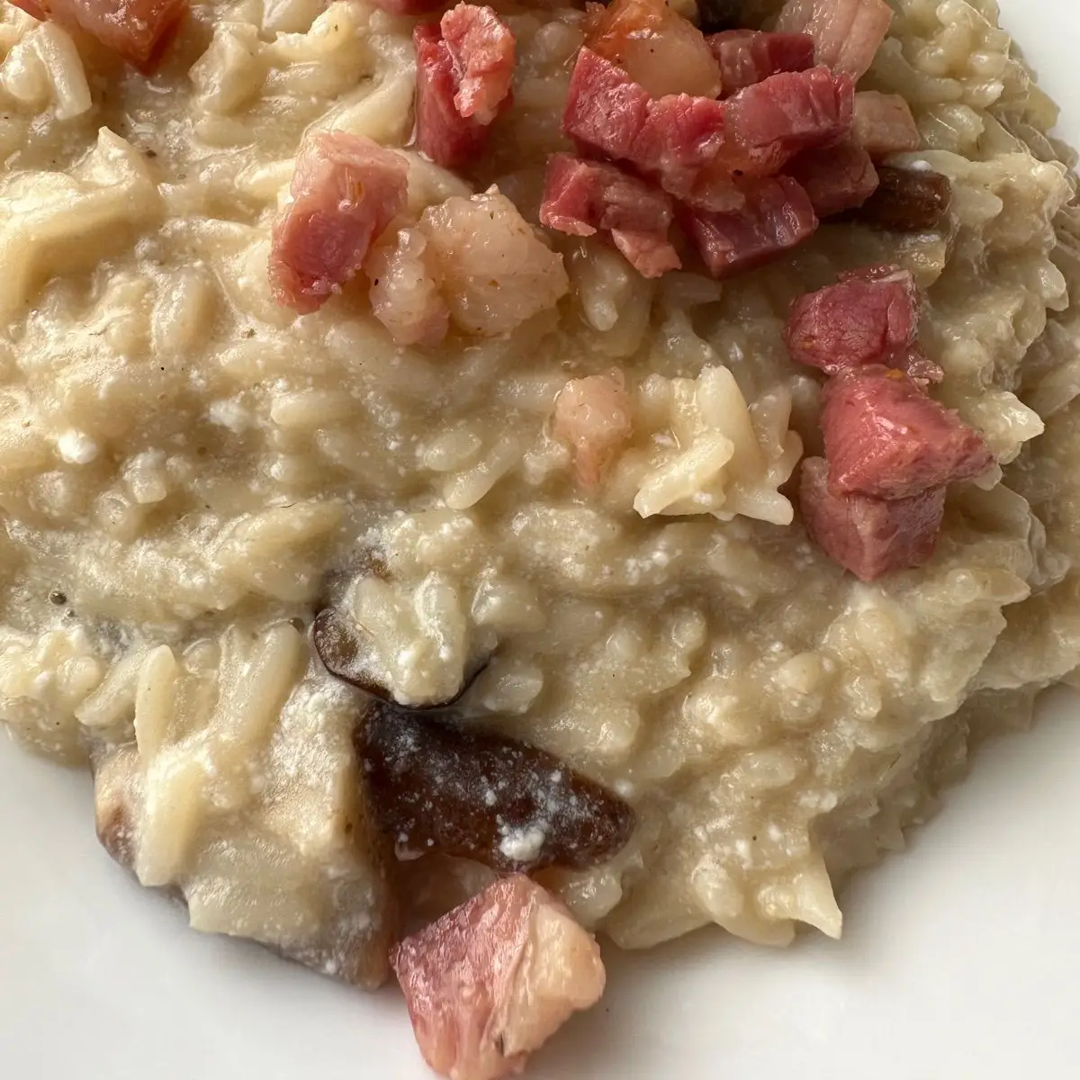 Risotto ai funghi misti , ricotta e pancetta croccante Al.ta Cucina