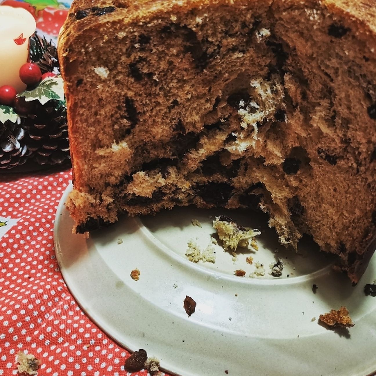 Panettone in 1 giorno