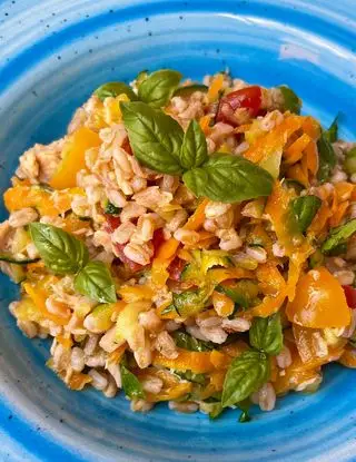 Ricetta Insalata fredda di farro con pomodorini, zucchine, carote, tonno e olive di ilmiopiattoacolori