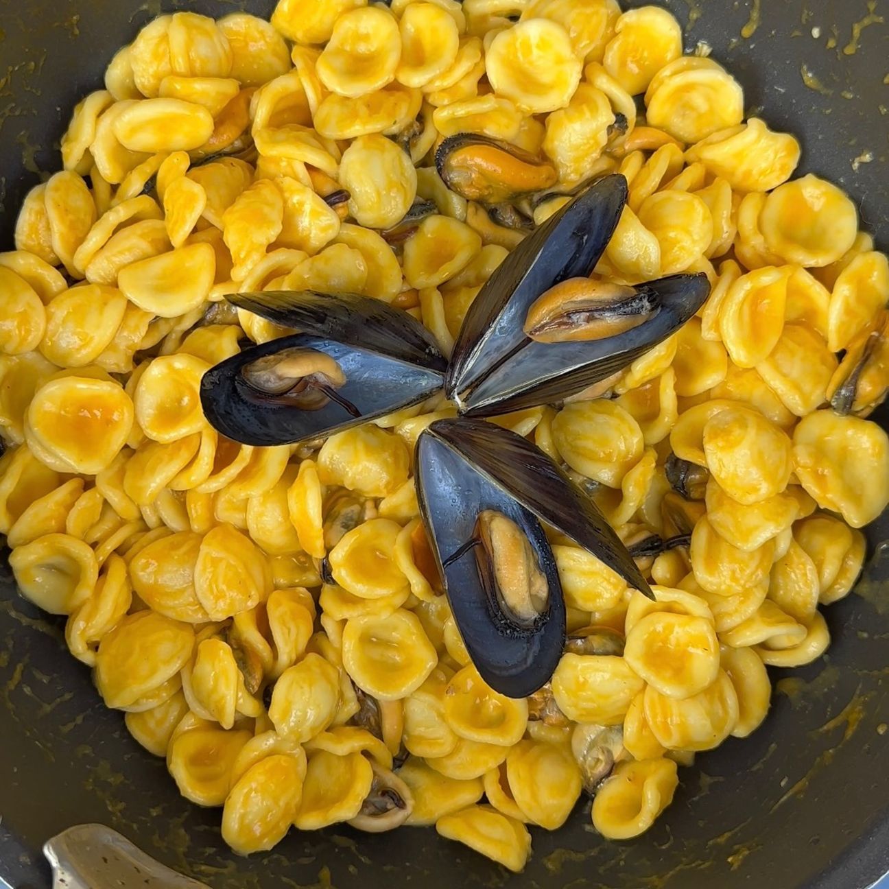 Pasta con crema di datteri giallo e cozze 🦪