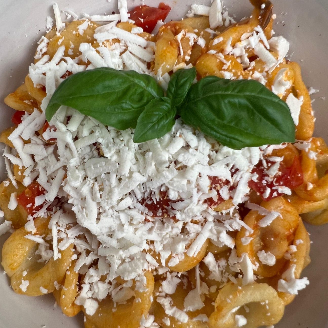 Orecchiette