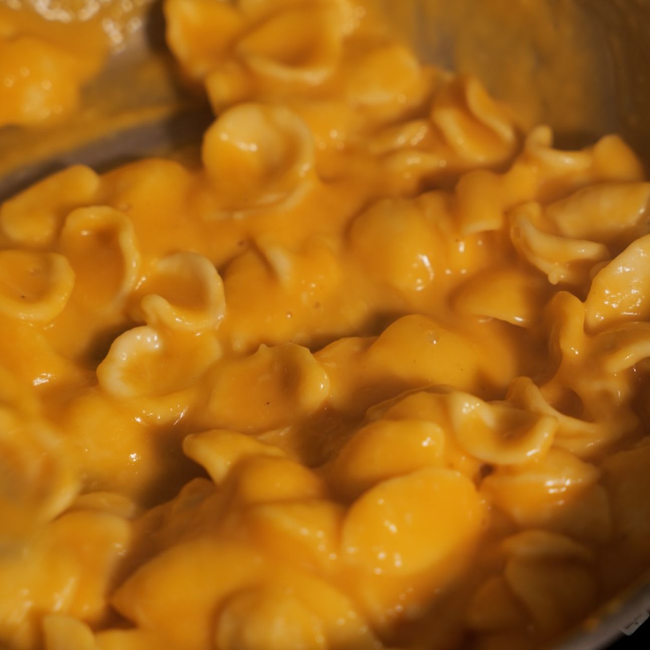 Orecchiette con crema di zucca e taleggio 🎃