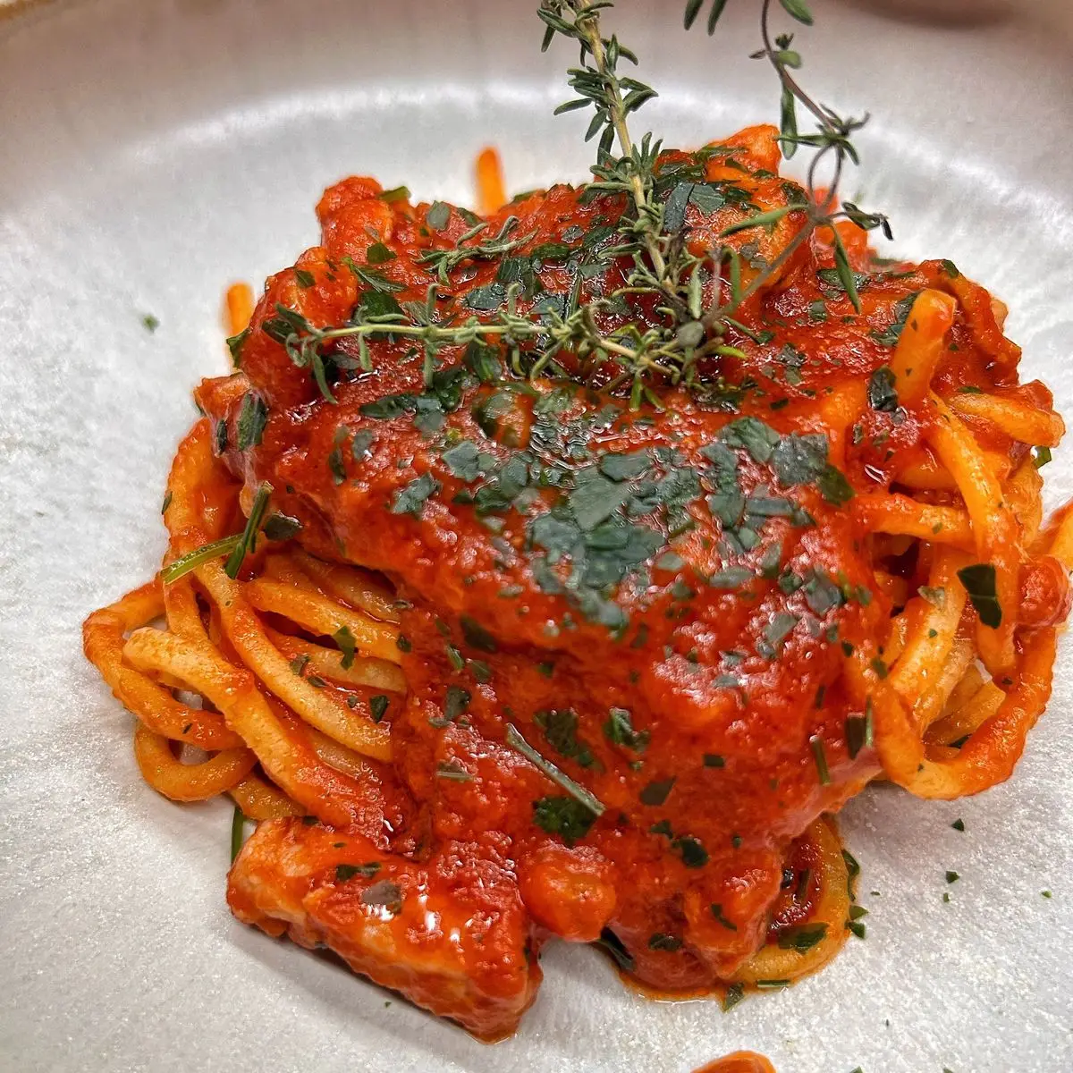 Spaghetto alla chitarra con ragù di tonno Al.ta Cucina