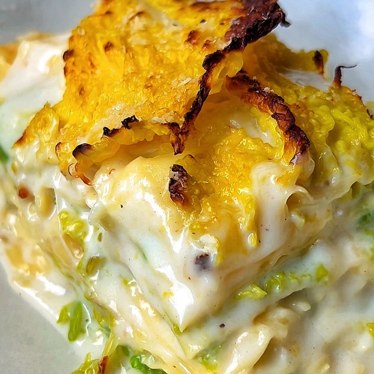 Lasagna con verza e fontina