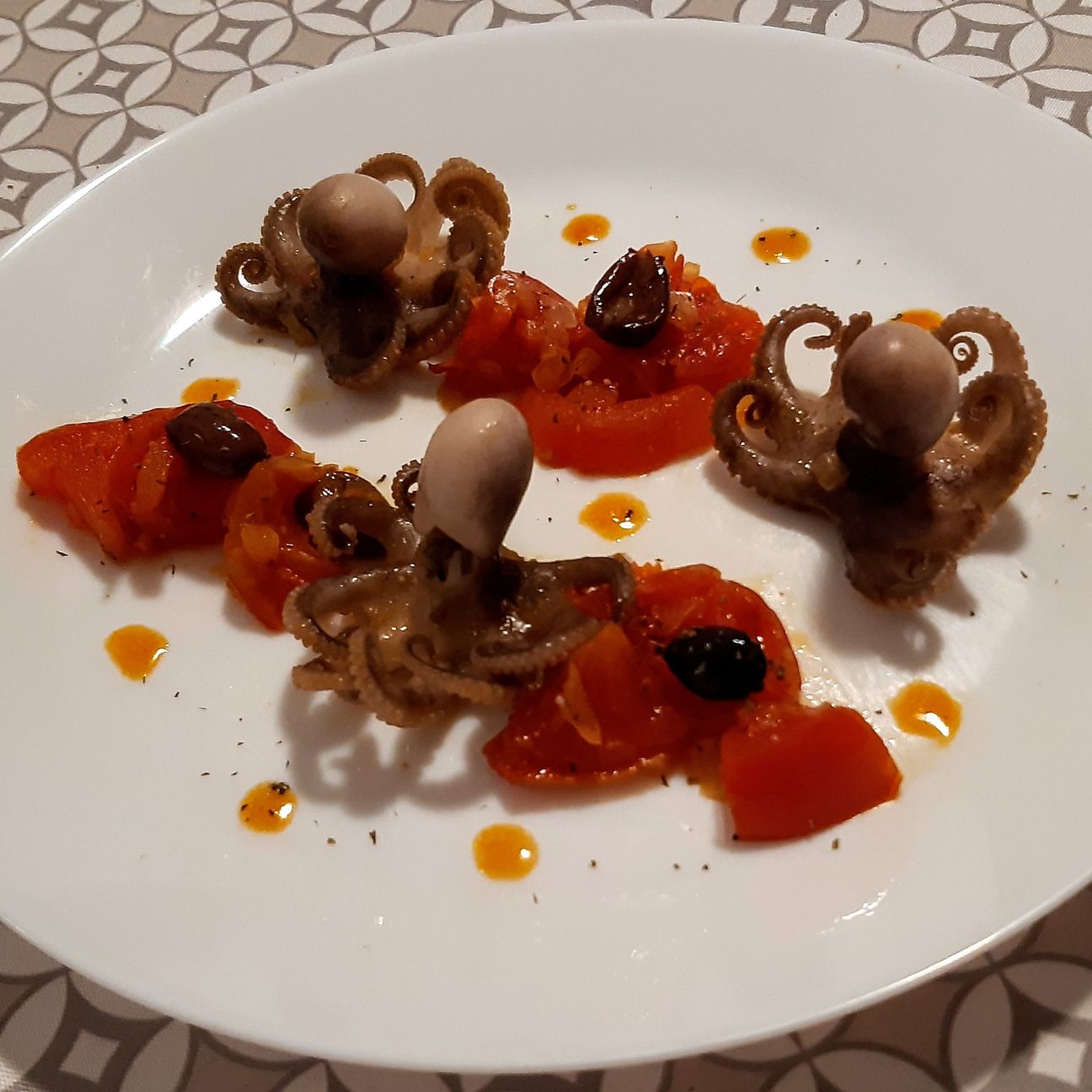 Polipetti Mediterranei in Vacanza