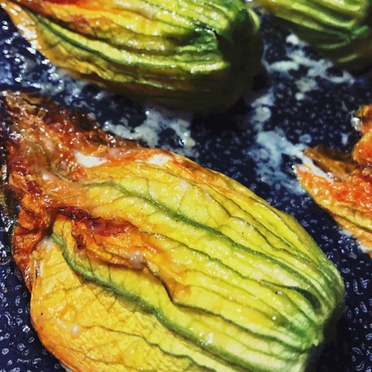 Fiori di zucca ripieni