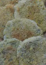 Ricetta Polpette carciofi e patate