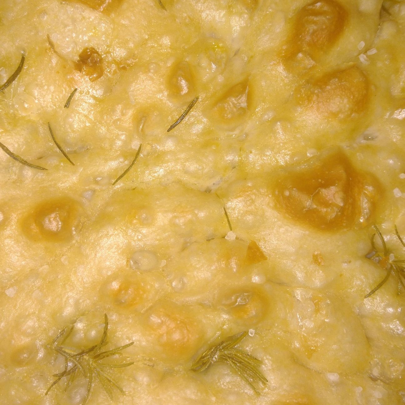 Focaccia con lievito madre