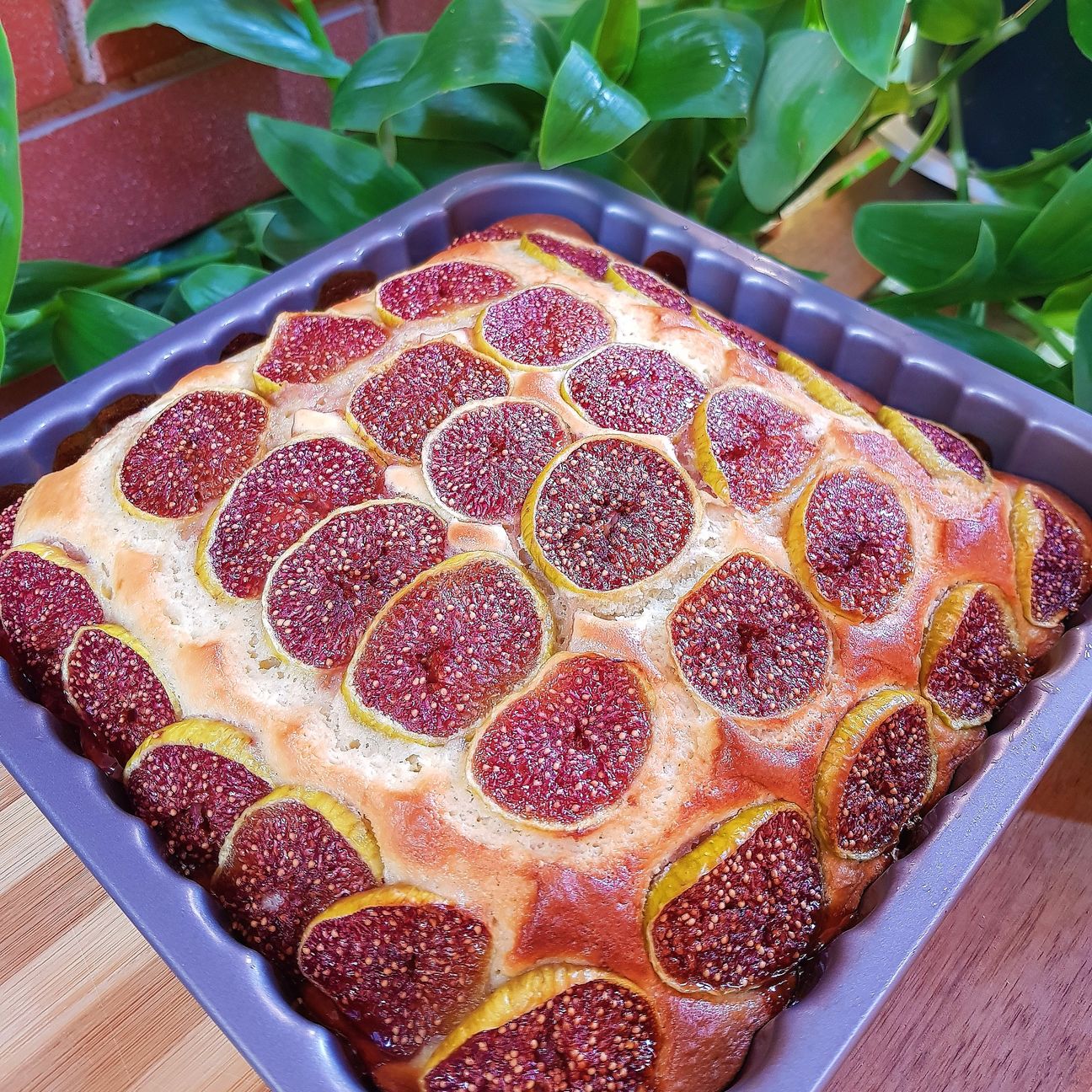 Torta ai fichi
