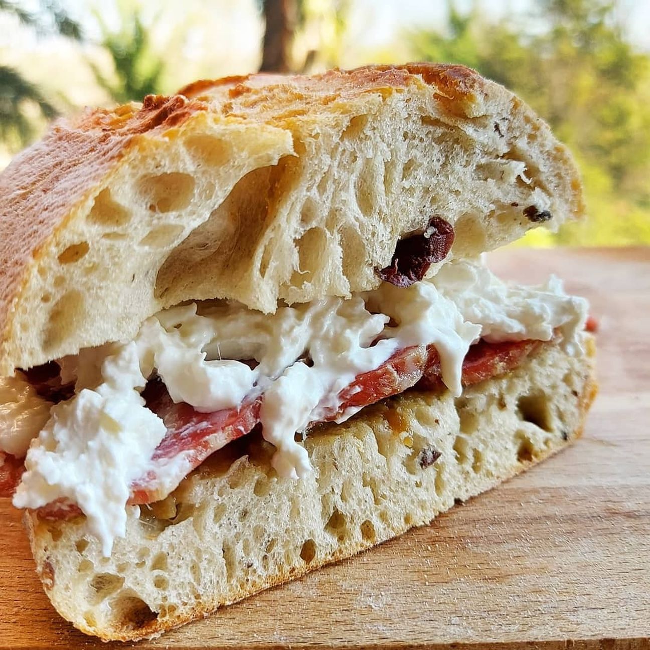 Panino Gourmet :)