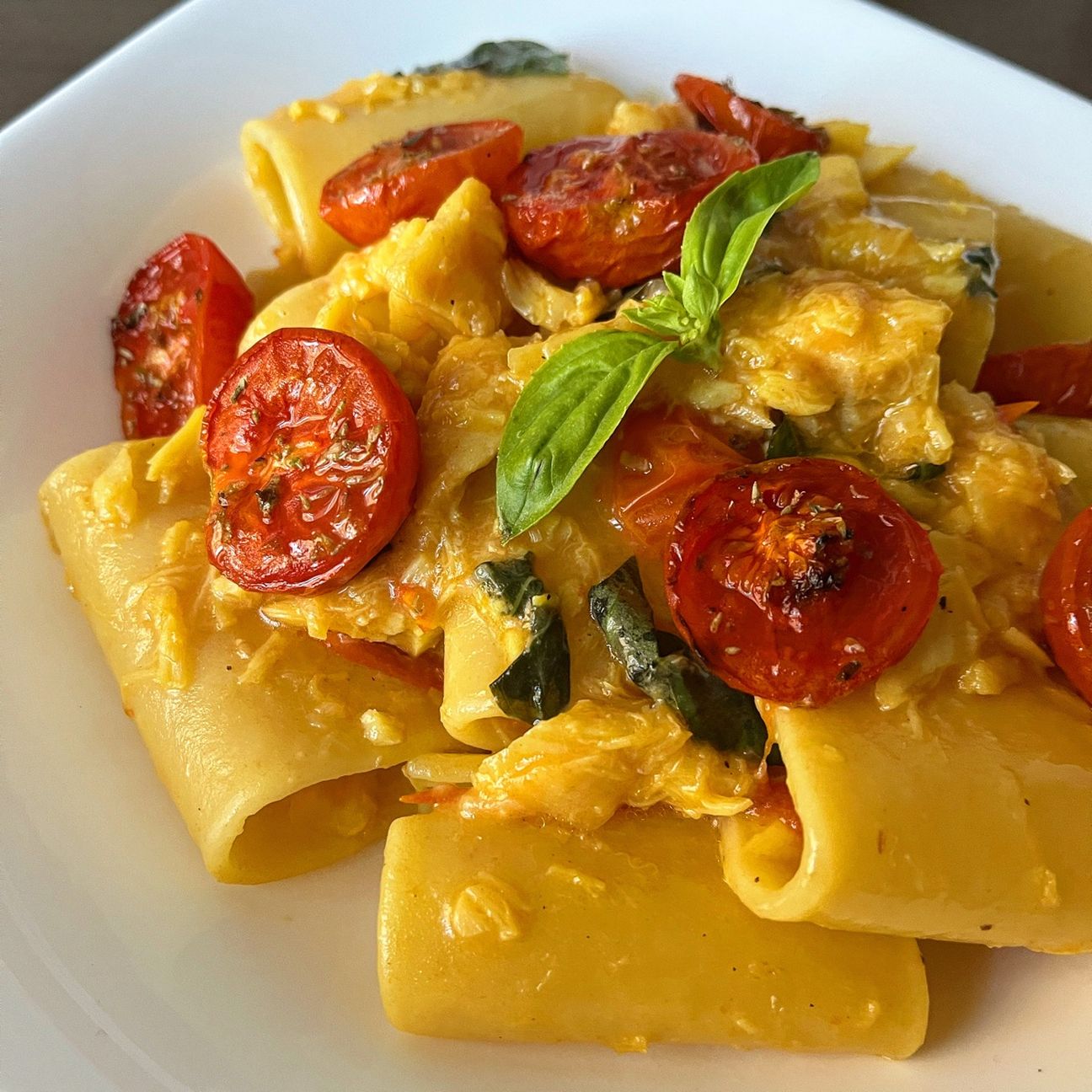 Paccheri con baccalà, zafferano, pomodorini confit e basilico