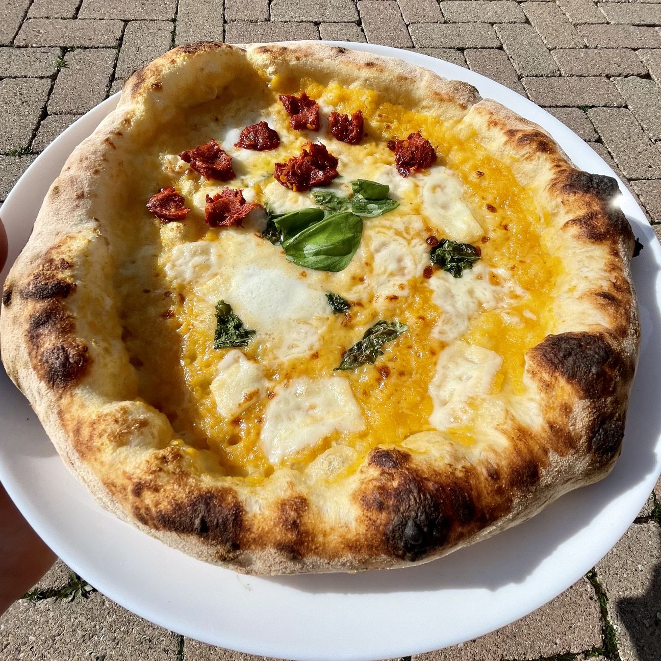 Pizza barbazia
