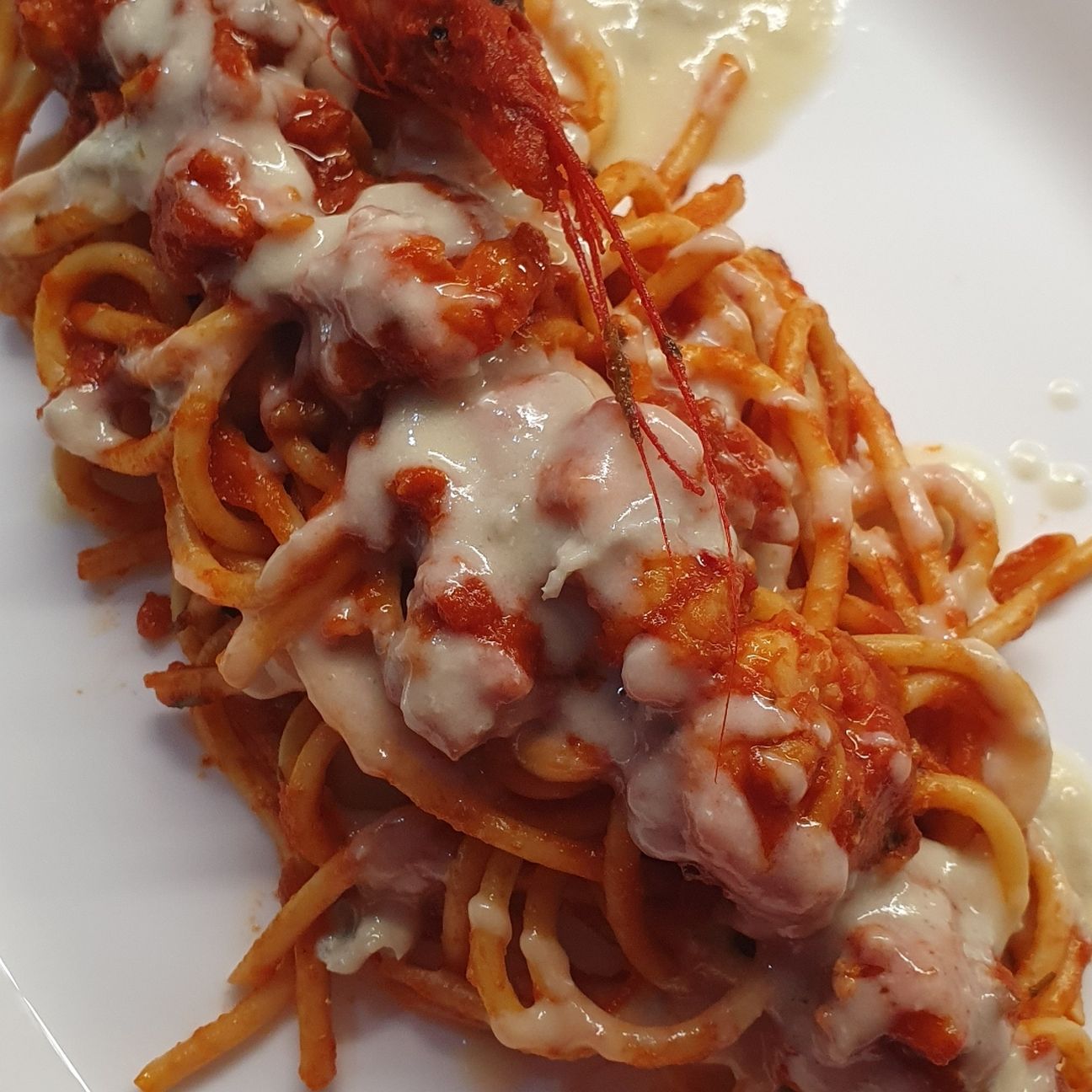Bucatini con ragù di gambero e fonduta di gorgonzola 😋