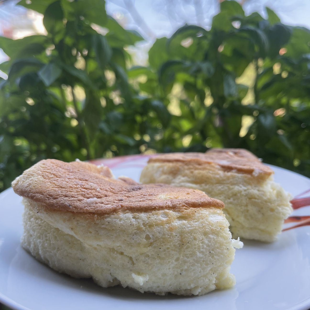 Cheescake giapponese 🇯🇵