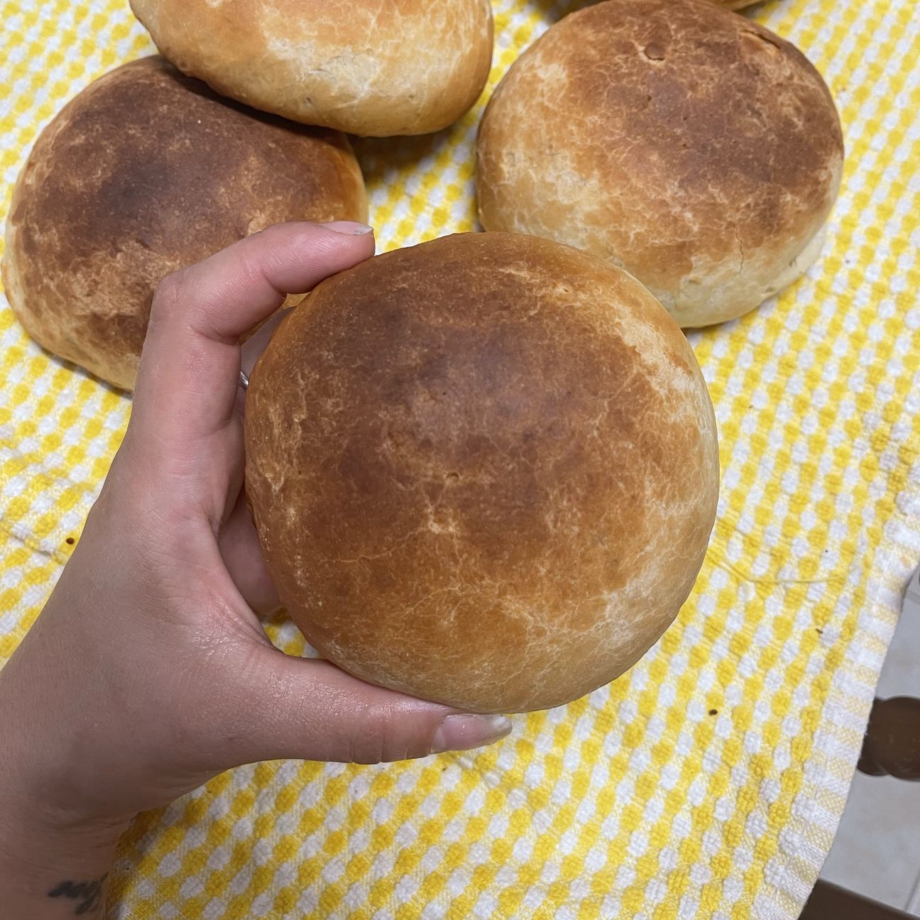 Panini per hamburger 🍔 🇺🇸