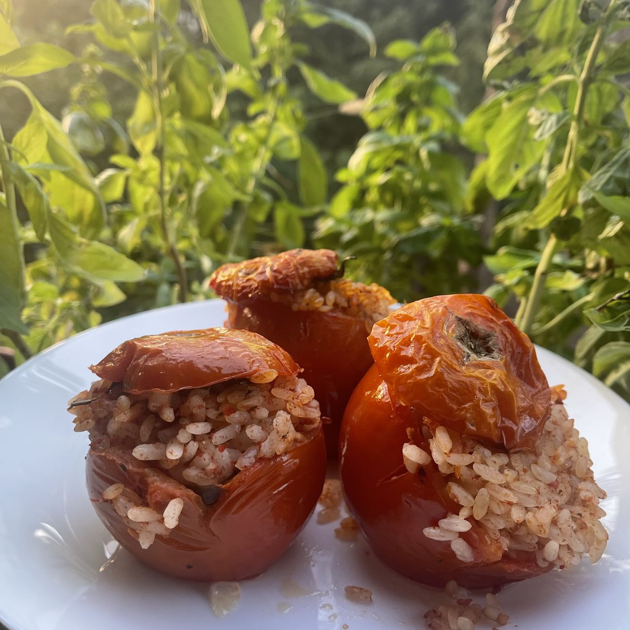 Pomodori con il riso alla Romana 🇮🇹