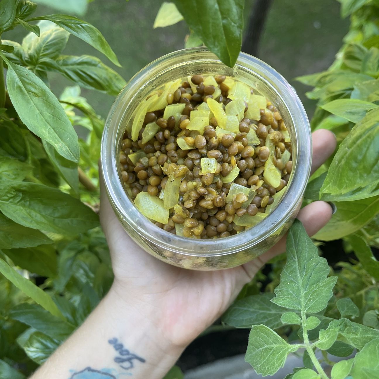 Lenticchie in agrodolce messicane 🇲🇽