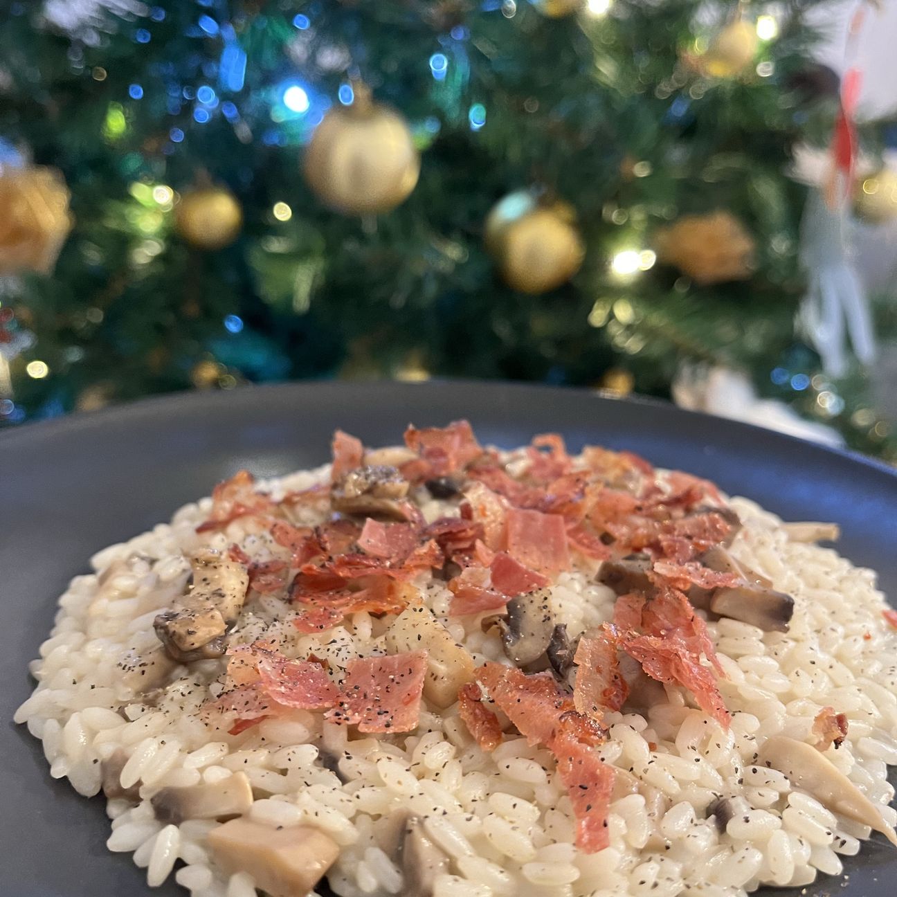 Il bosco a Natale !