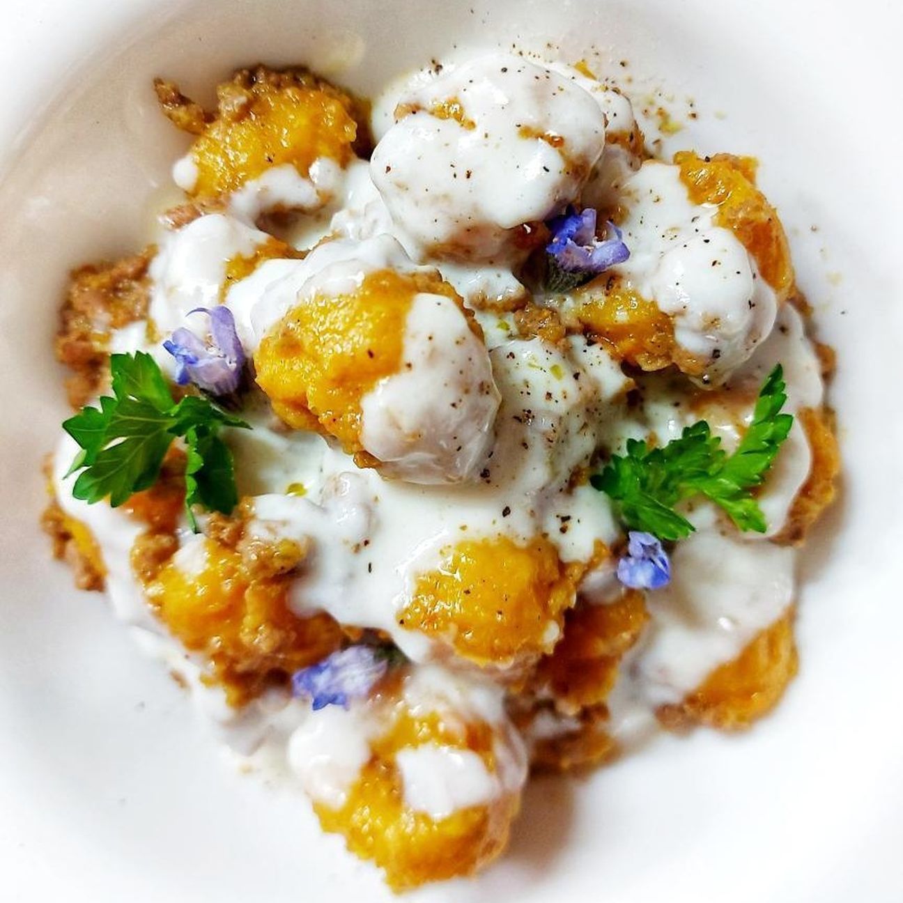 Gnocchi di zucca con ragù bianco e fonduta di Parmigiano