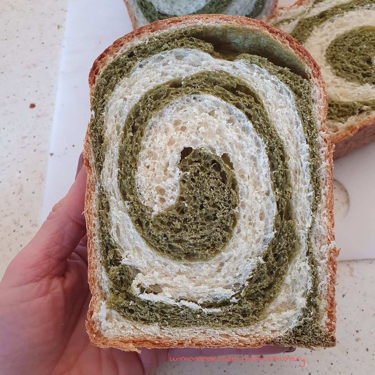 Hokkaido bicolor matcha milk bread