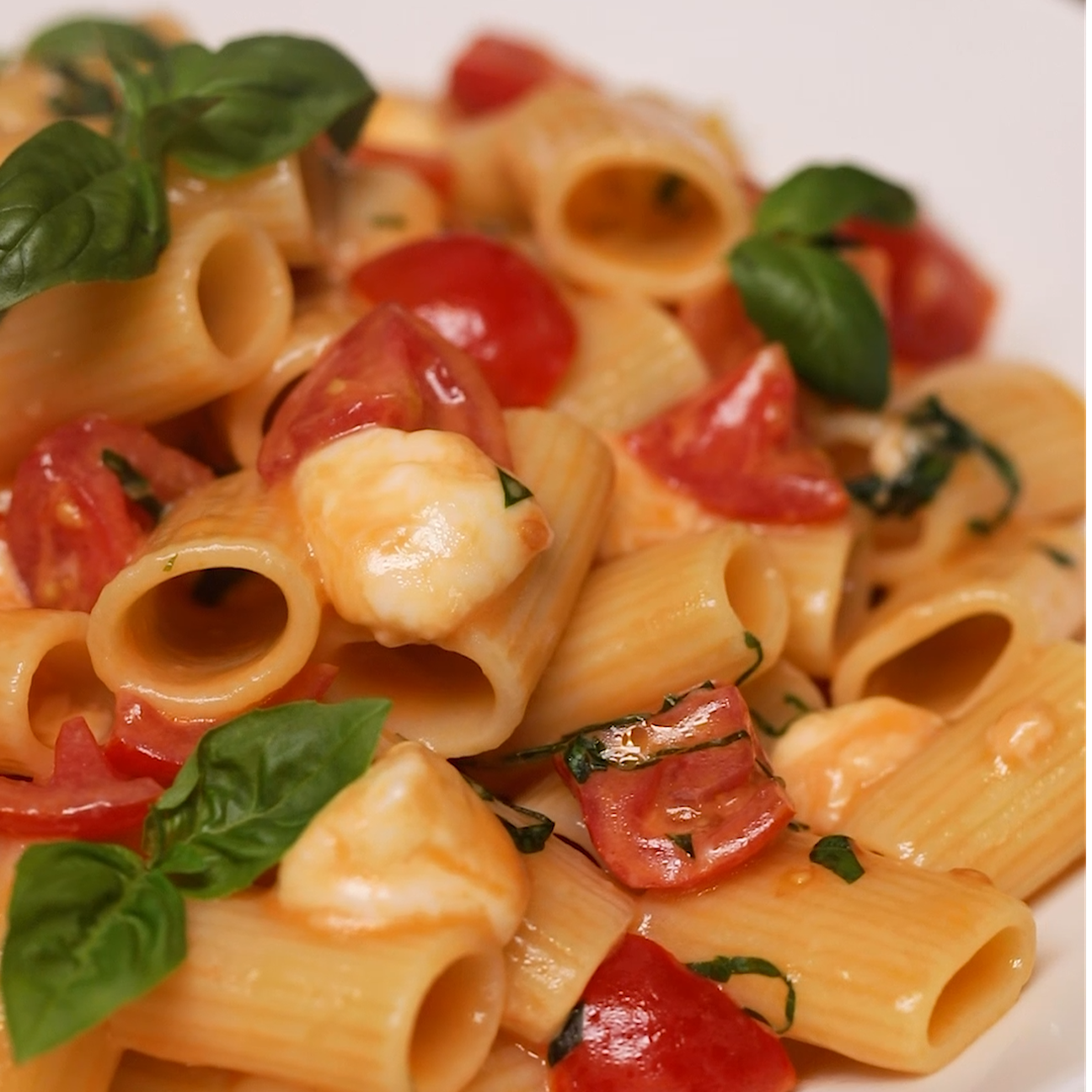Pasta alla checca