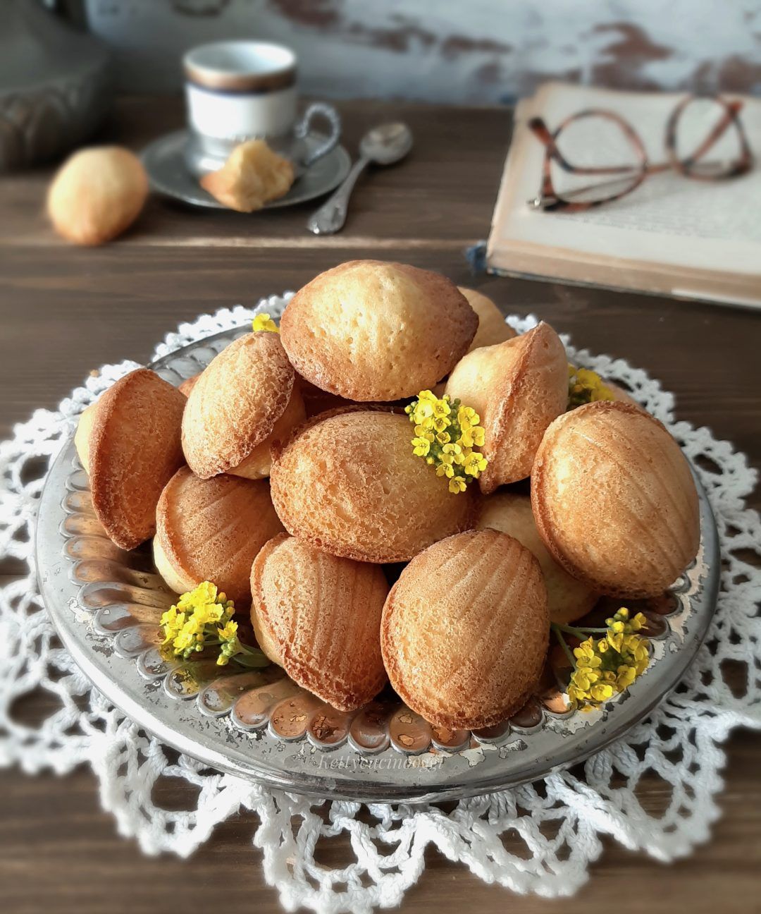 MADELEINE DOLCETTI FRANCESI