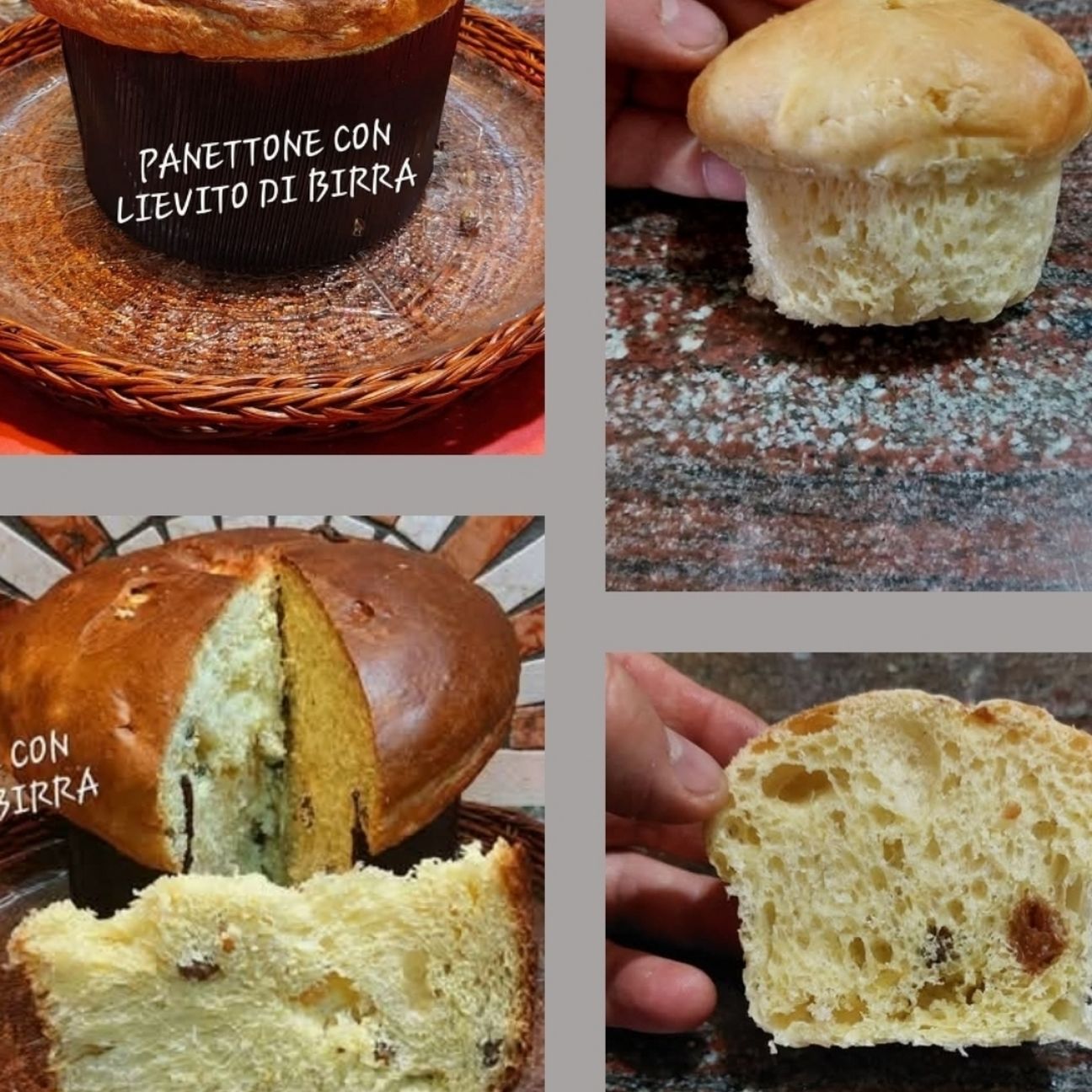 PANETTONE con LIEVITO DI BIRRA