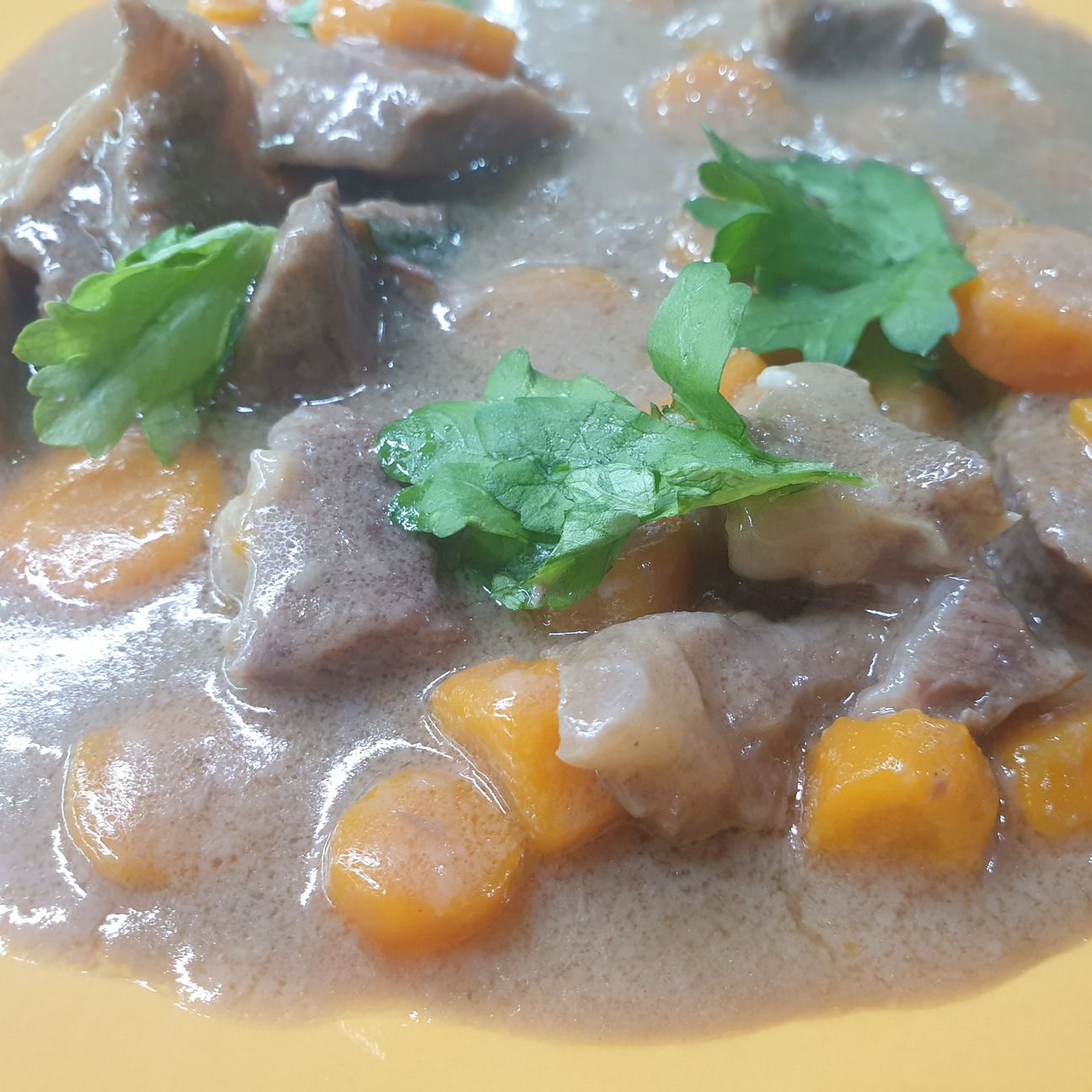 Spezzatino di vitello con carote😋
