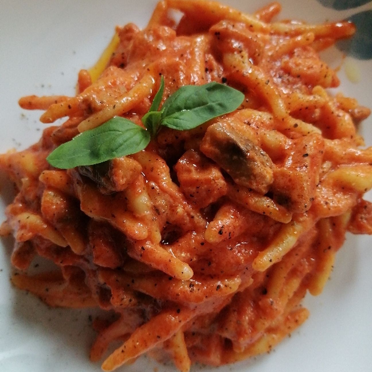 Trofie con pancetta, funghi e pomodoro