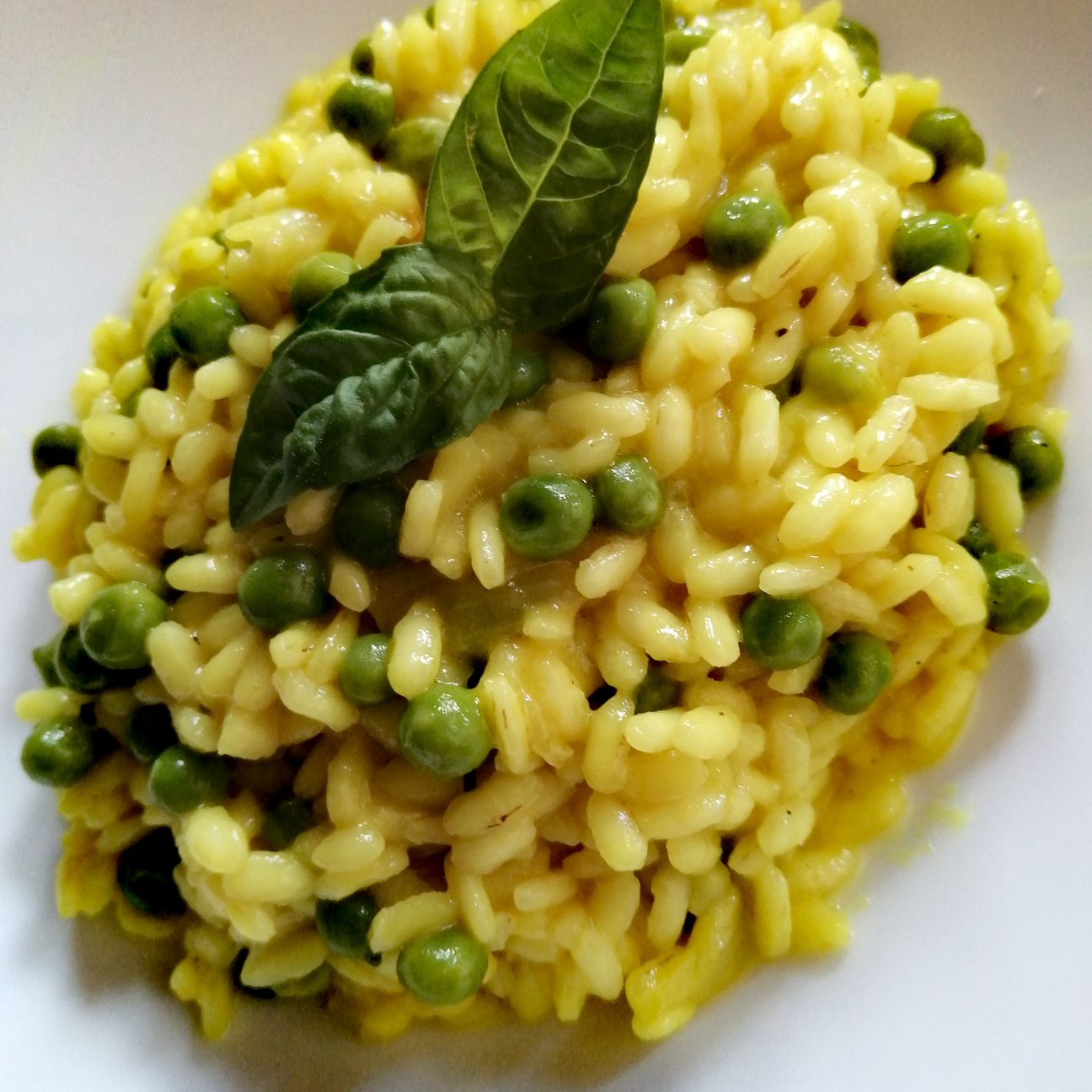 Risotto con piselli