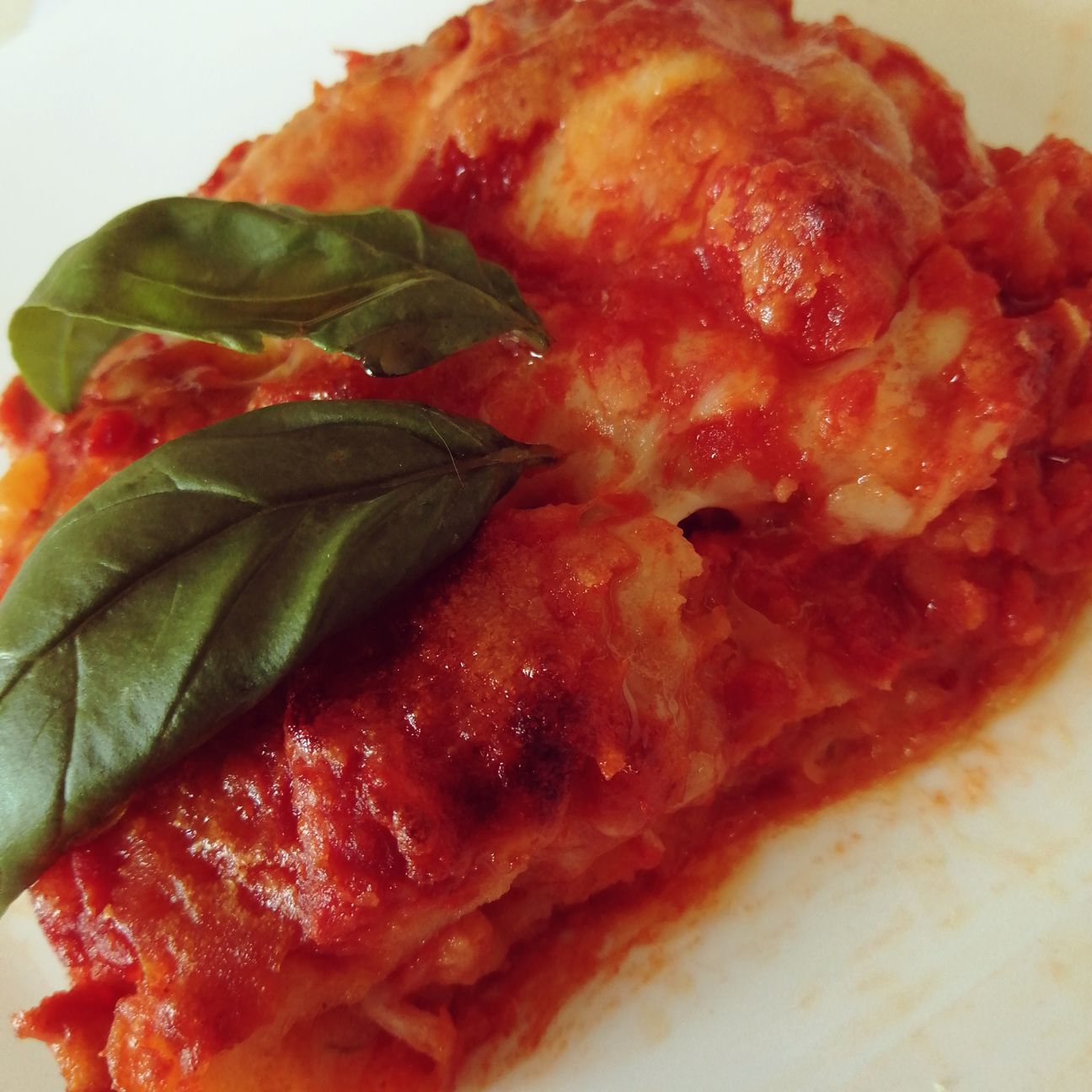 Parmigiana di fiori di zucca