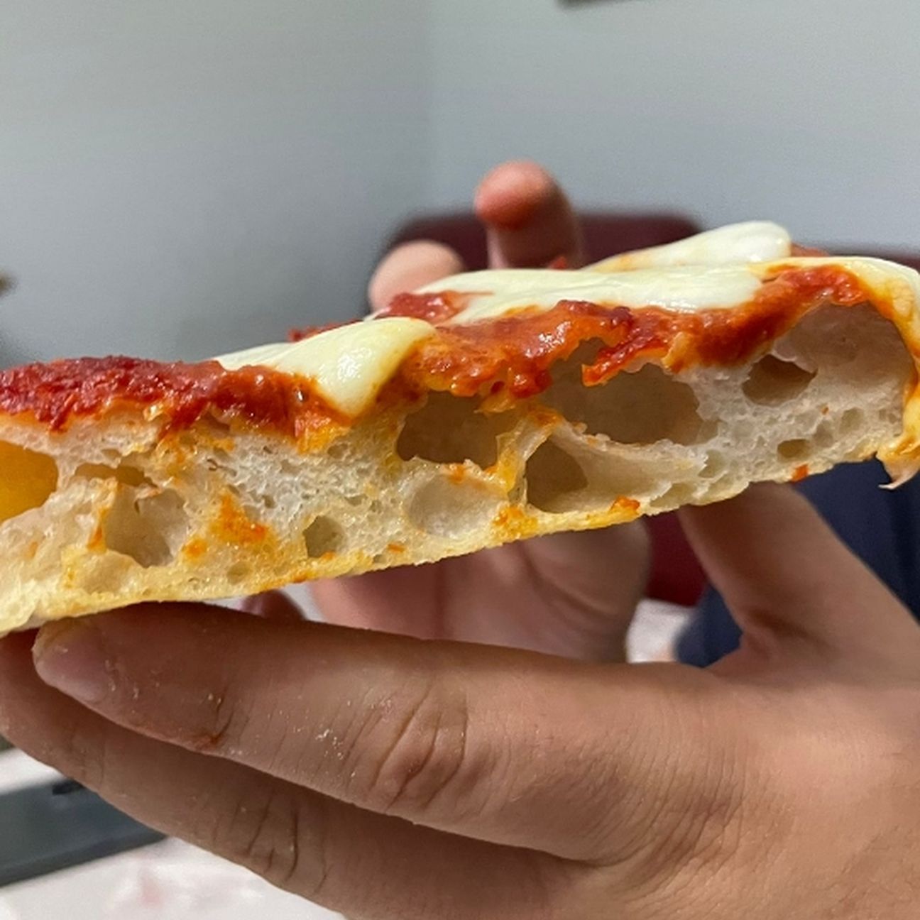 Pizza in teglia ad alta idratazione